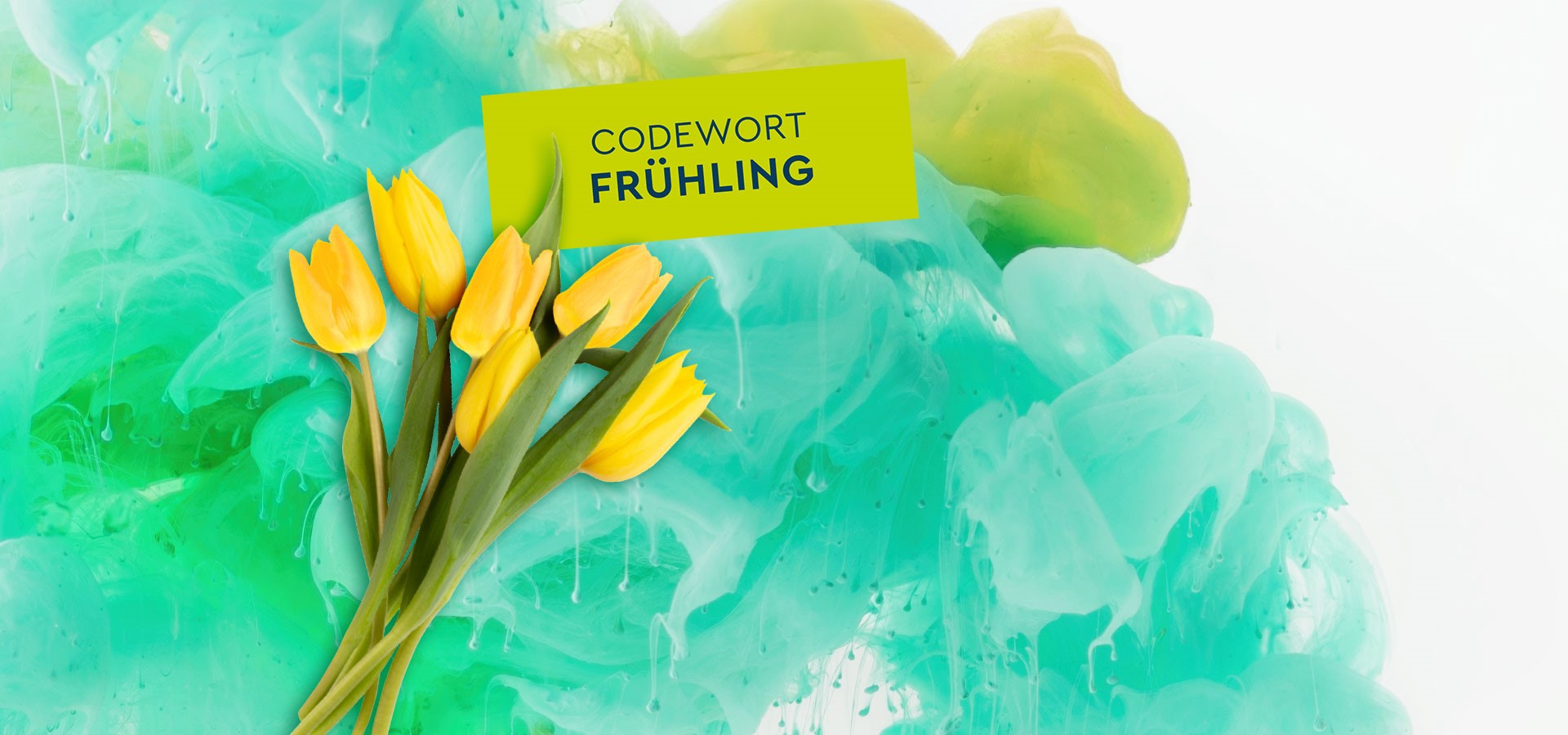 LIWEST Sujet Aktionskampagne Frühjahr 2025 gelbe Tulpen auf grüner Wolke mit grüner Box Text Codewort Frühling